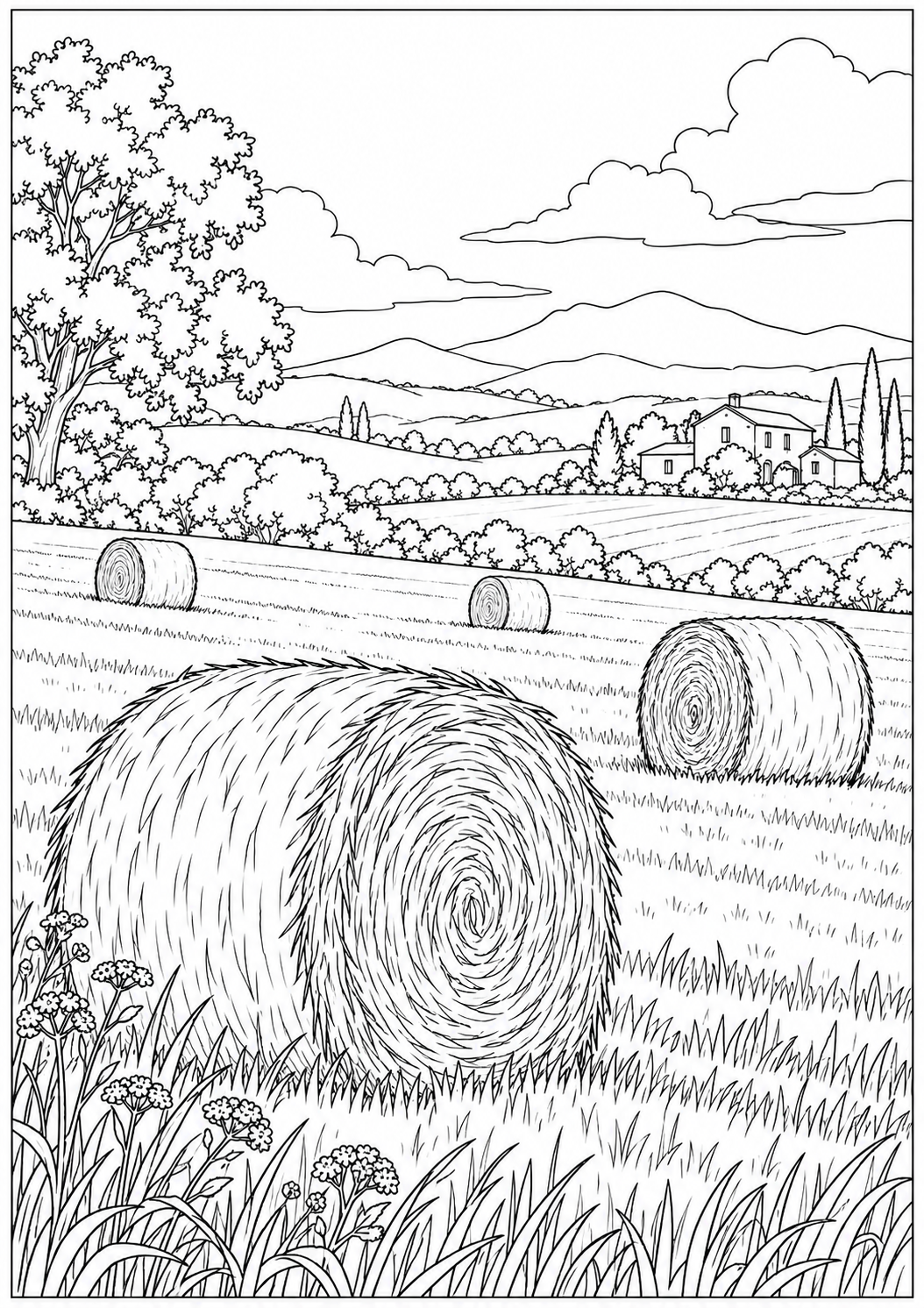 A landscape with hay bales — black-and-white adult coloring page