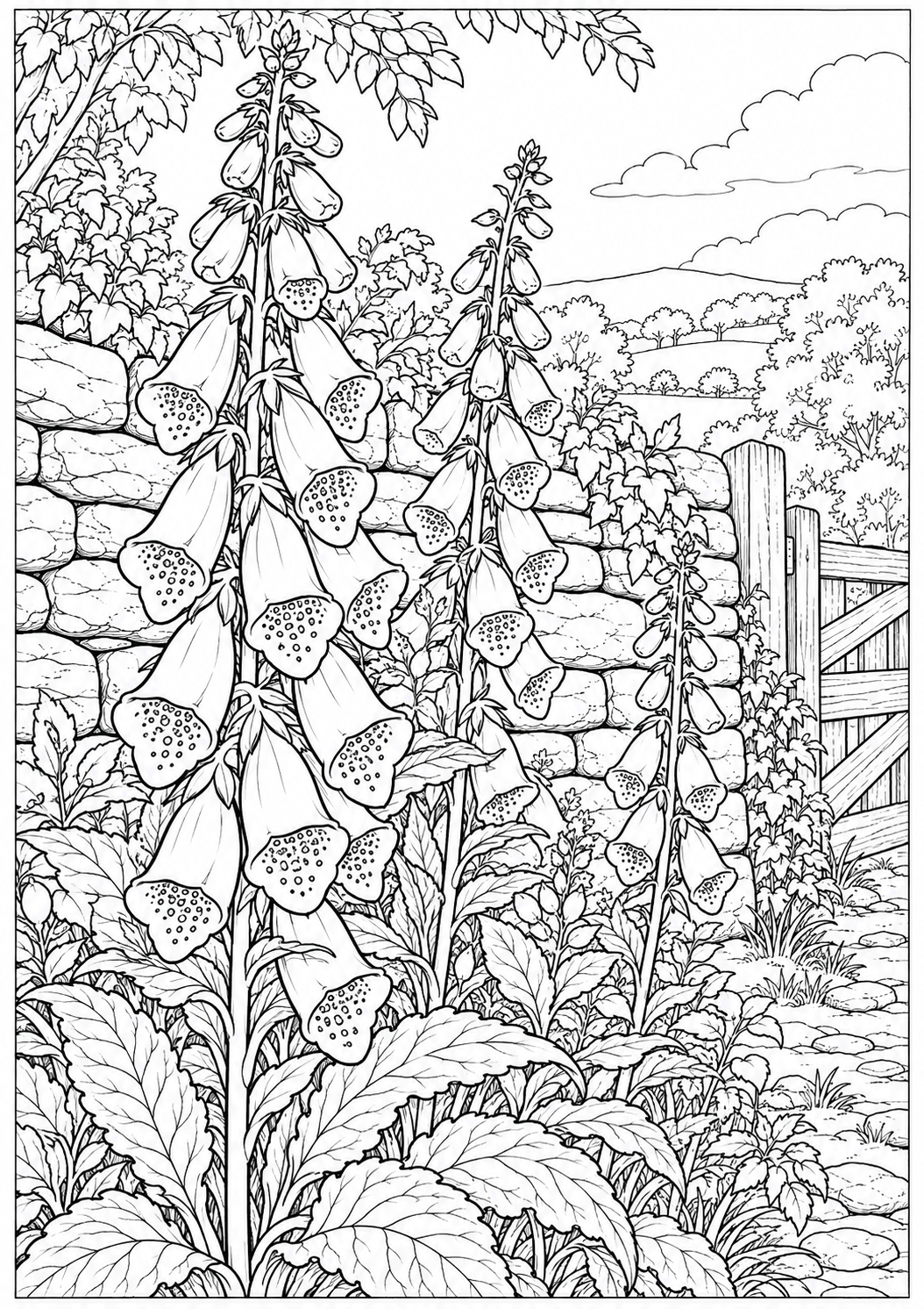 Foxgloves by a stone wall — black-and-white adult coloring page