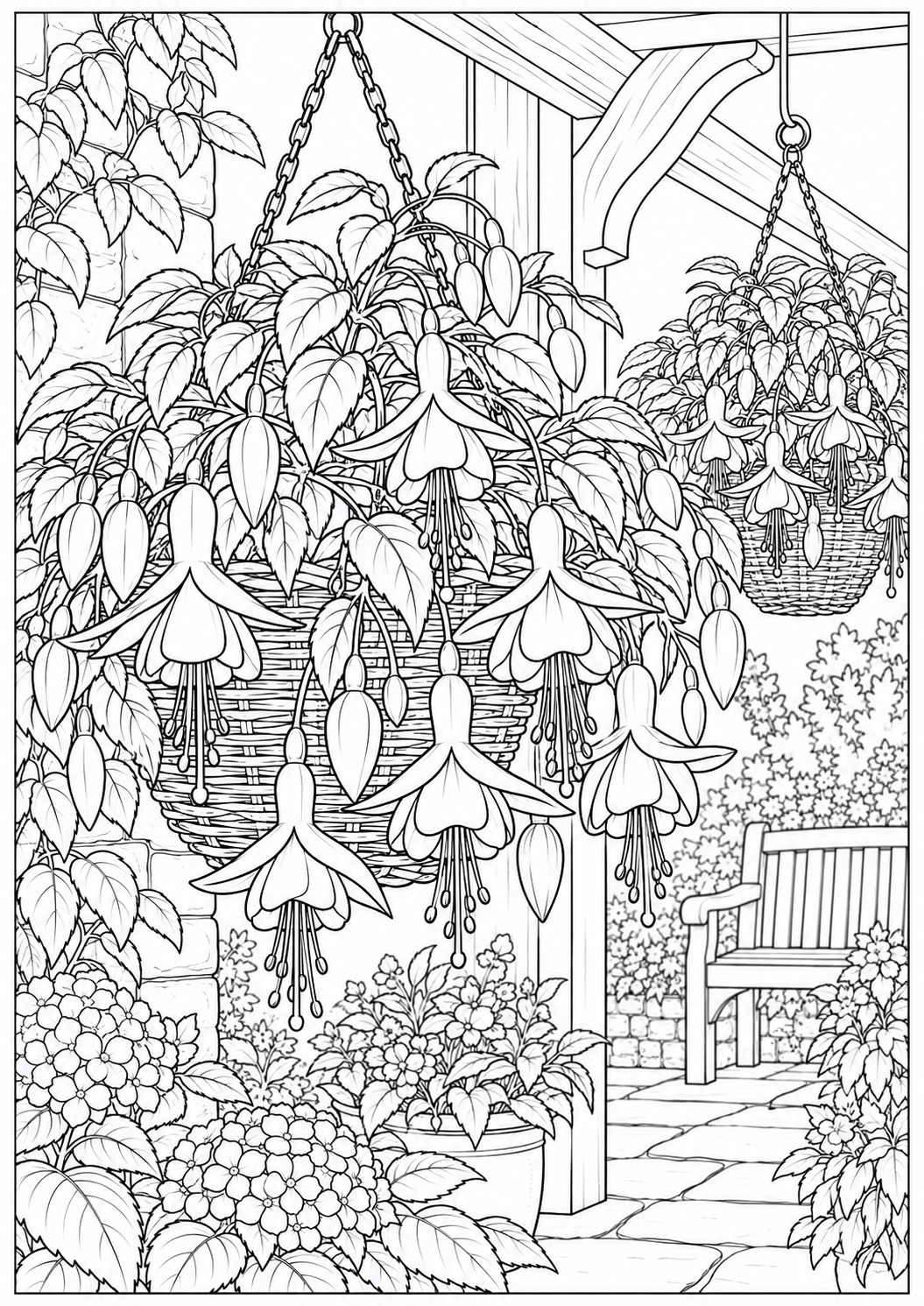 Fuchsia in hanging baskets — black-and-white adult coloring page